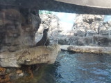 img0026.jpg