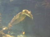 img0028.jpg