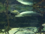 img0031.jpg