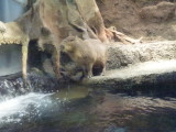 img0035.jpg