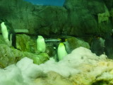 img0039.jpg