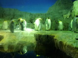 img0041.jpg