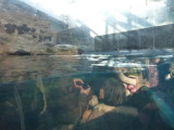 img0045.jpg
