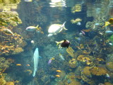 img0047.jpg
