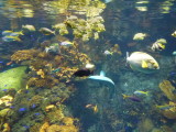 img0048.jpg