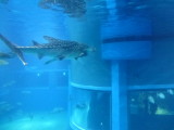 img0054.jpg