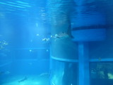 img0055.jpg