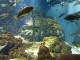 img0057.jpg