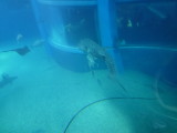 img0058.jpg