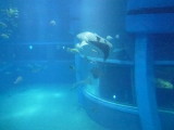 img0063.jpg