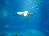 img0065.jpg