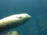 img0072.jpg