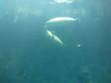 img0073.jpg