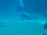 img0077.jpg