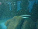 img0079.jpg