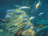 img0081.jpg