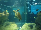 img0084.jpg