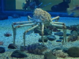img0089.jpg