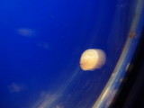 img0094.jpg
