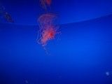 img0103.jpg