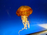 img0105.jpg