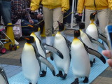 img0109.jpg