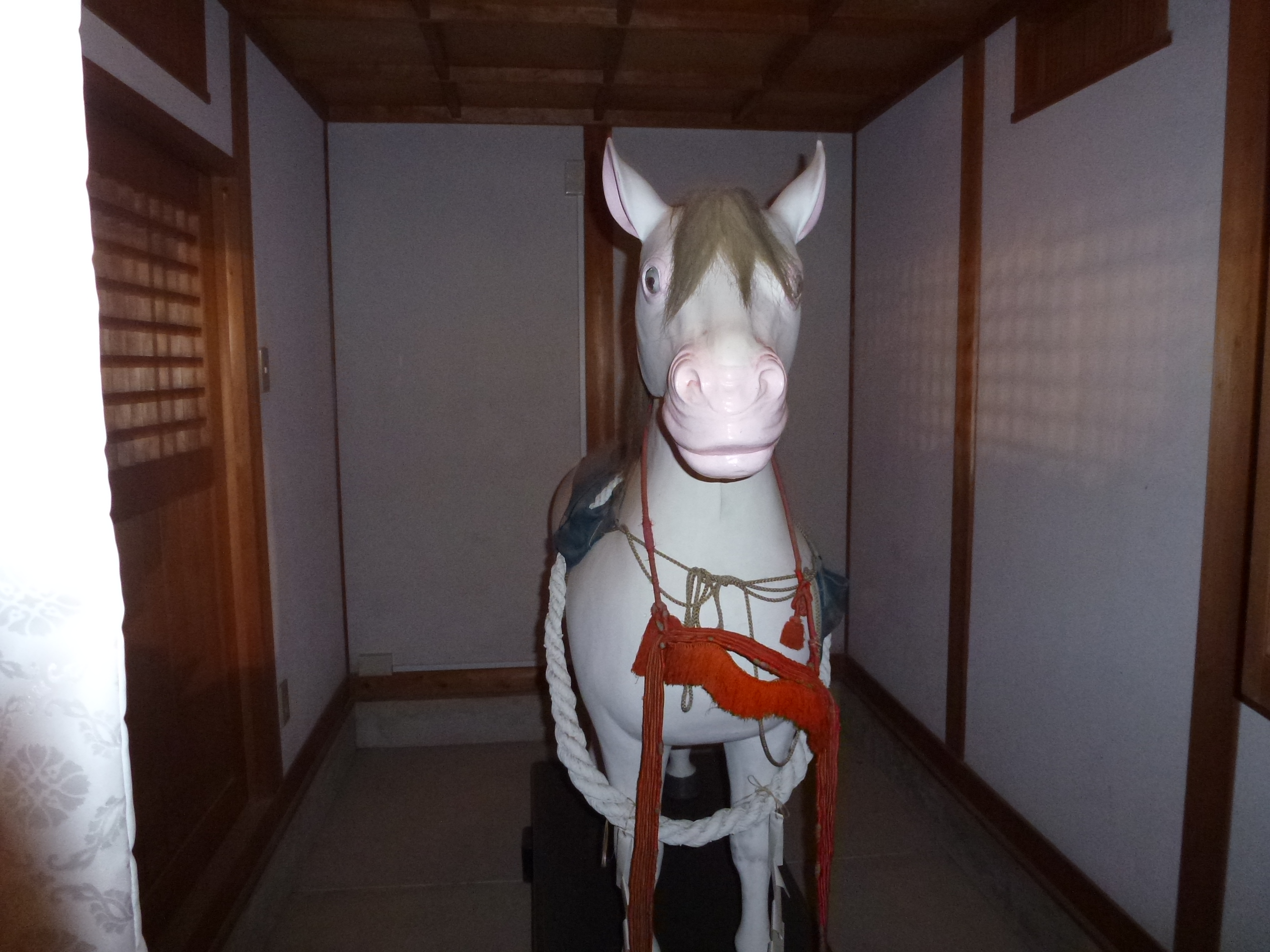 P1020557.JPG