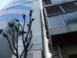 img0009.jpg