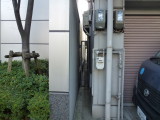 img0010.jpg