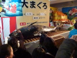 img0022.jpg