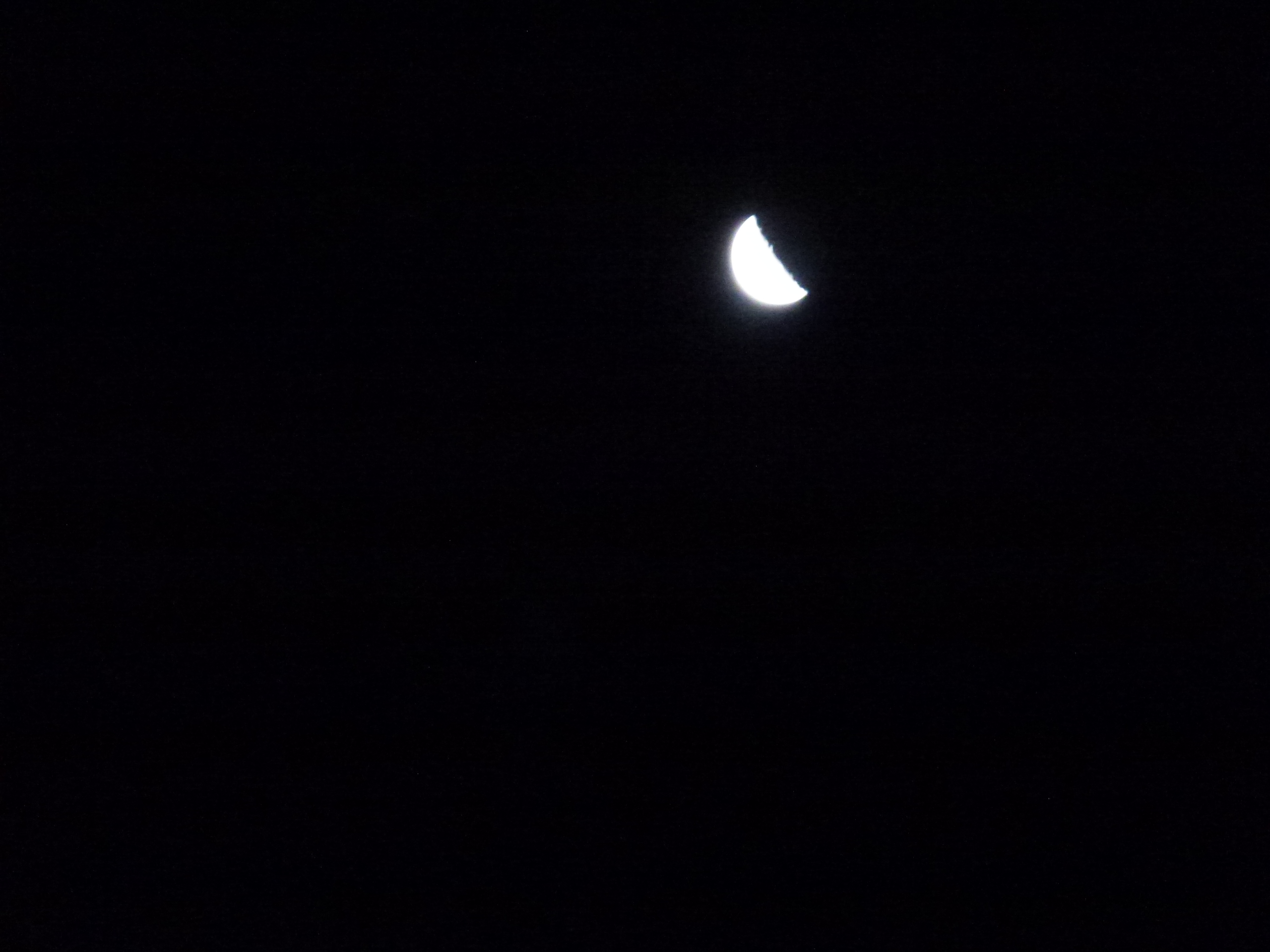 P1020803.JPG