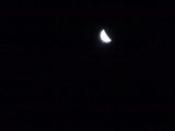 img0010.jpg