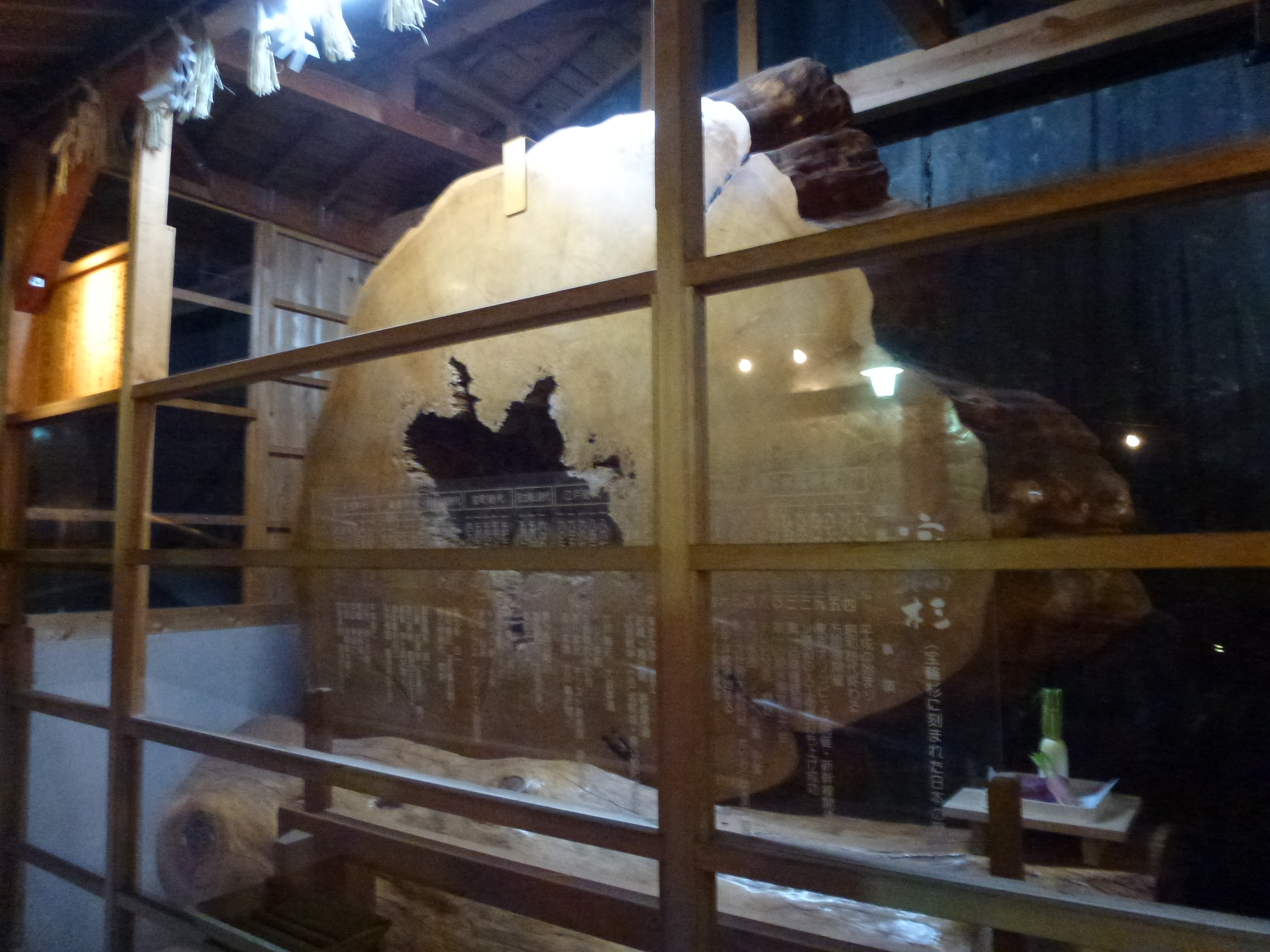 P1020846.JPG
