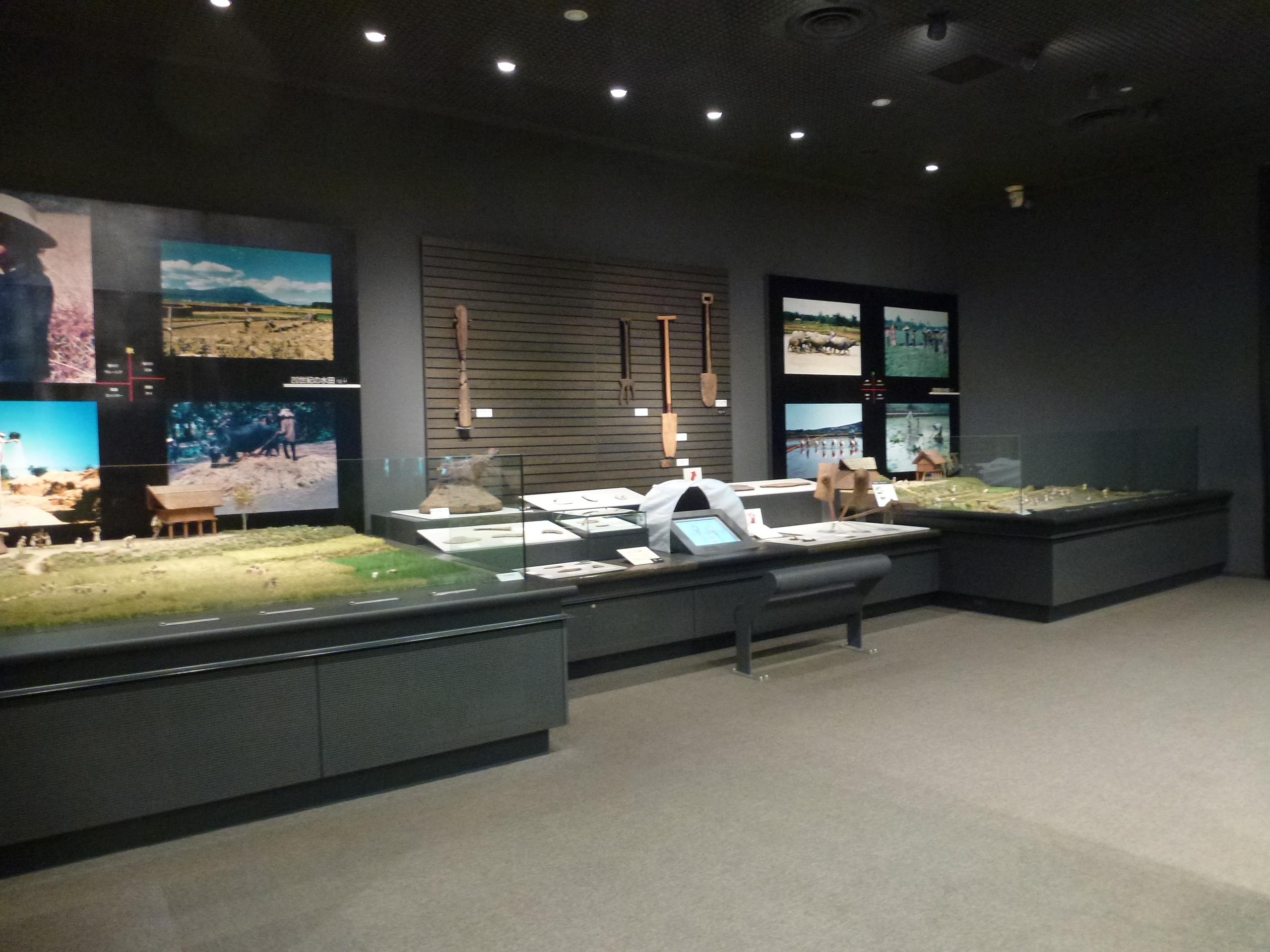 P1020874.JPG