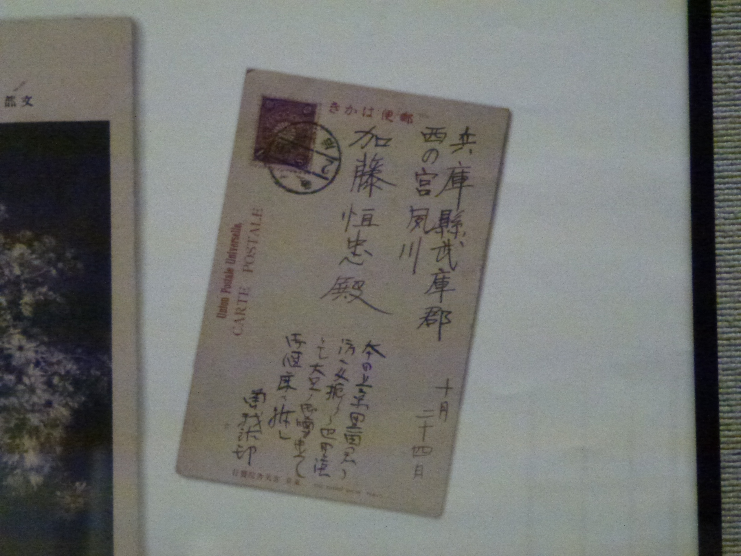 P1020883.JPG