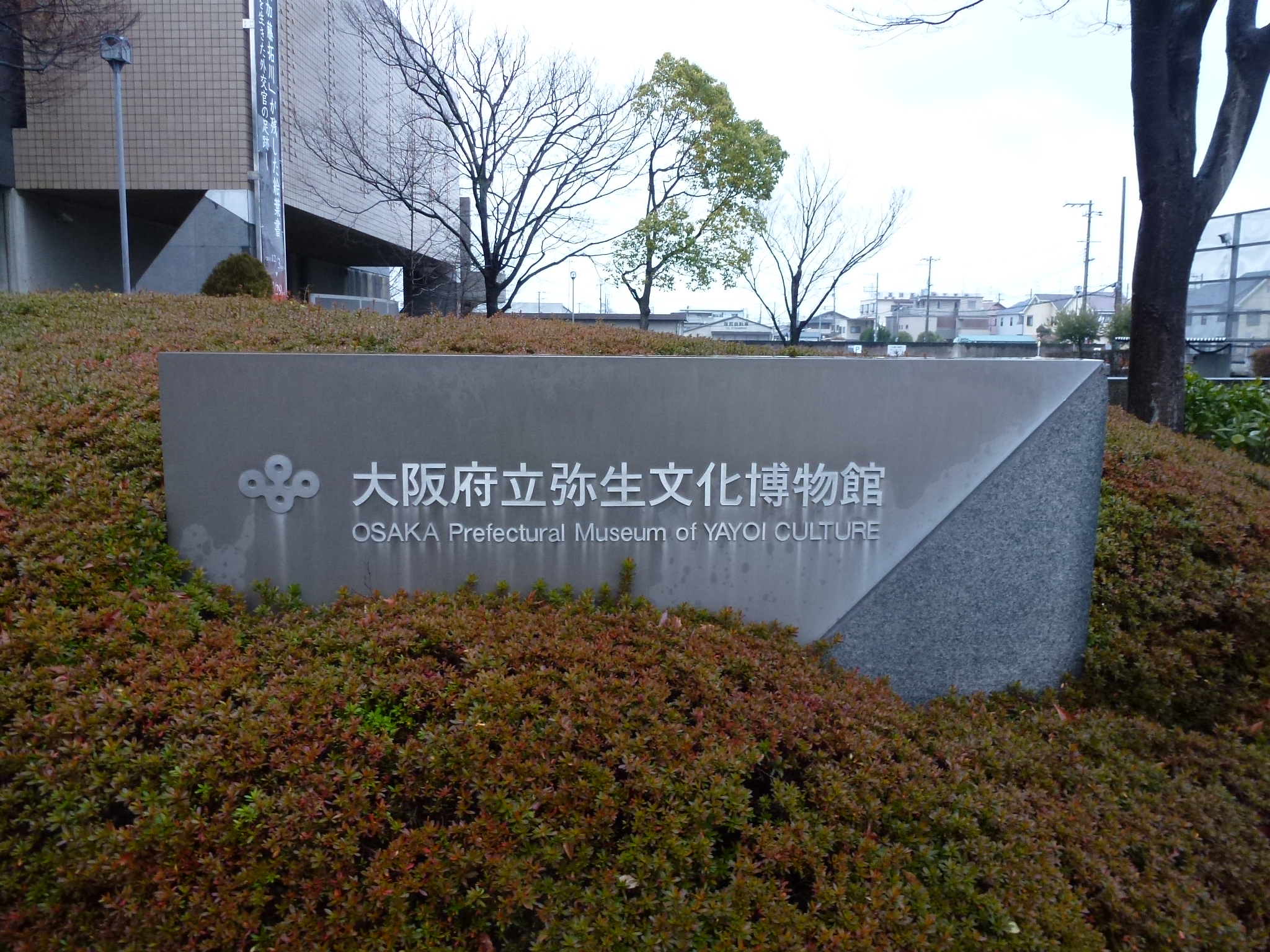 P1020896.JPG