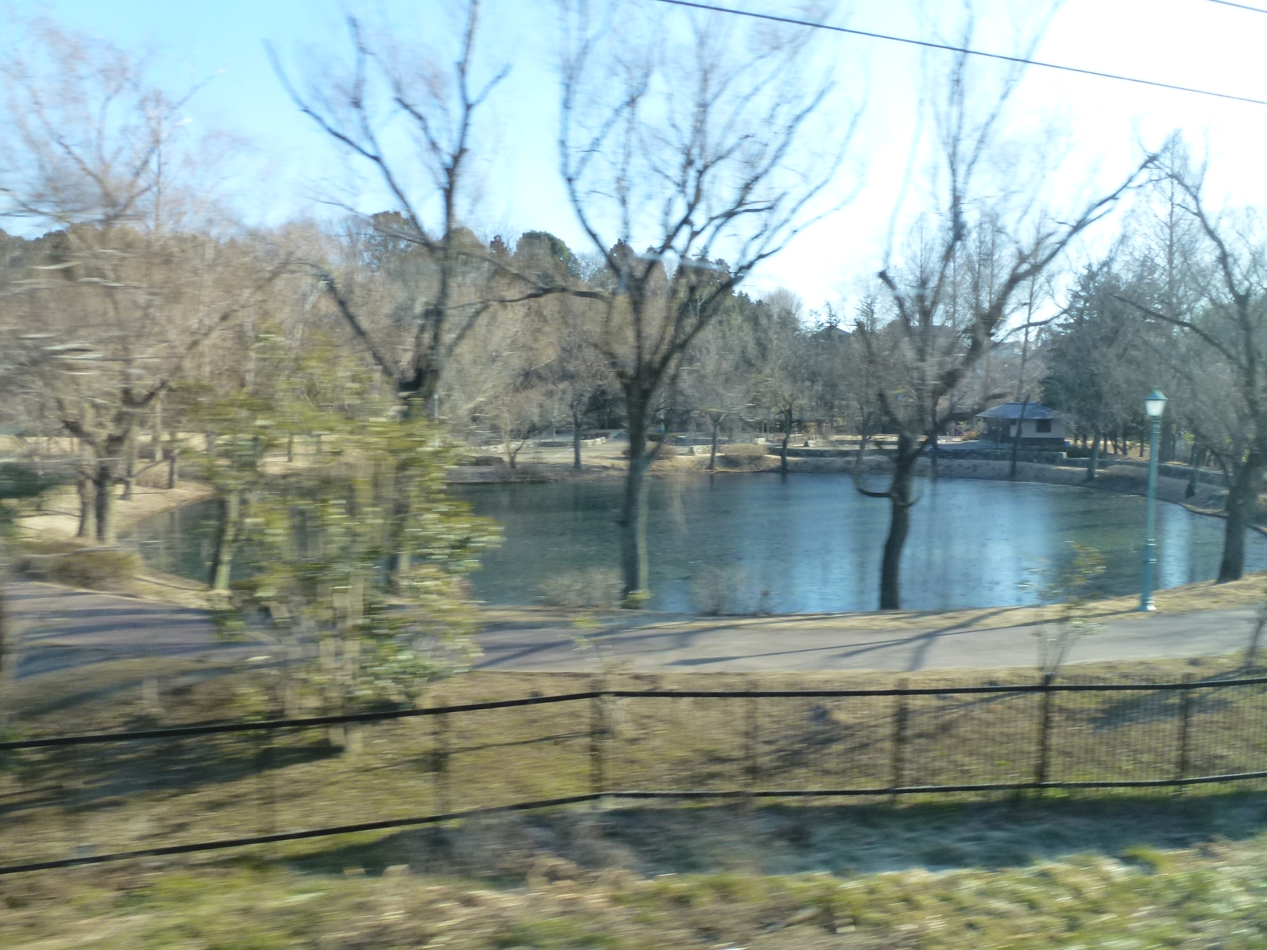 P1030030.JPG