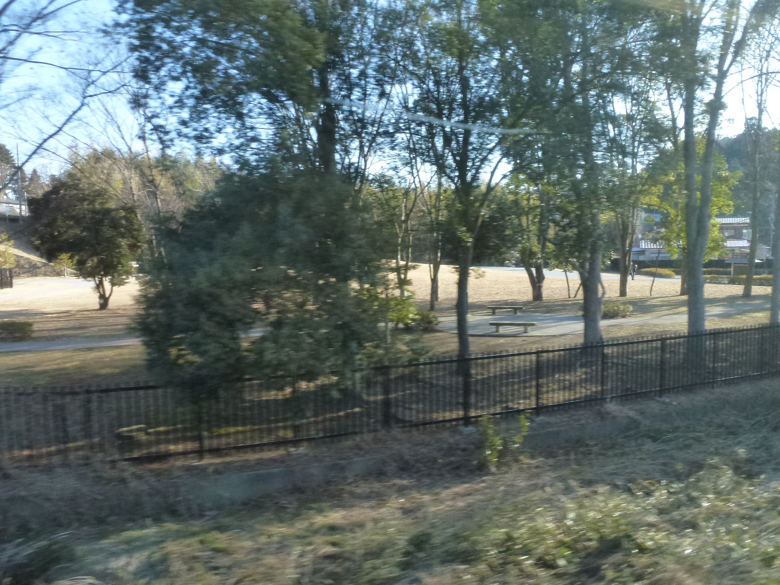 P1030031.JPG