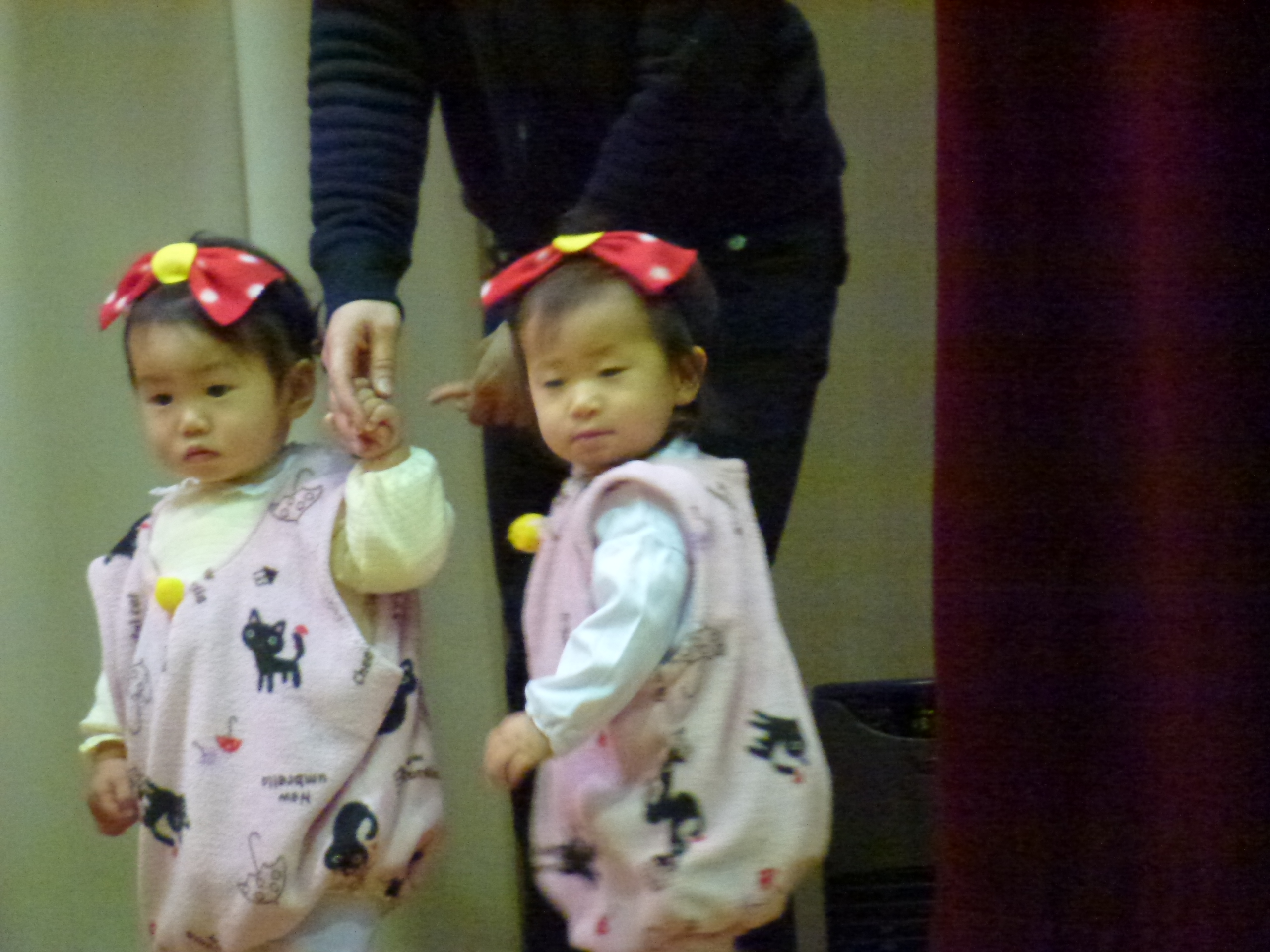 P1030225.JPG