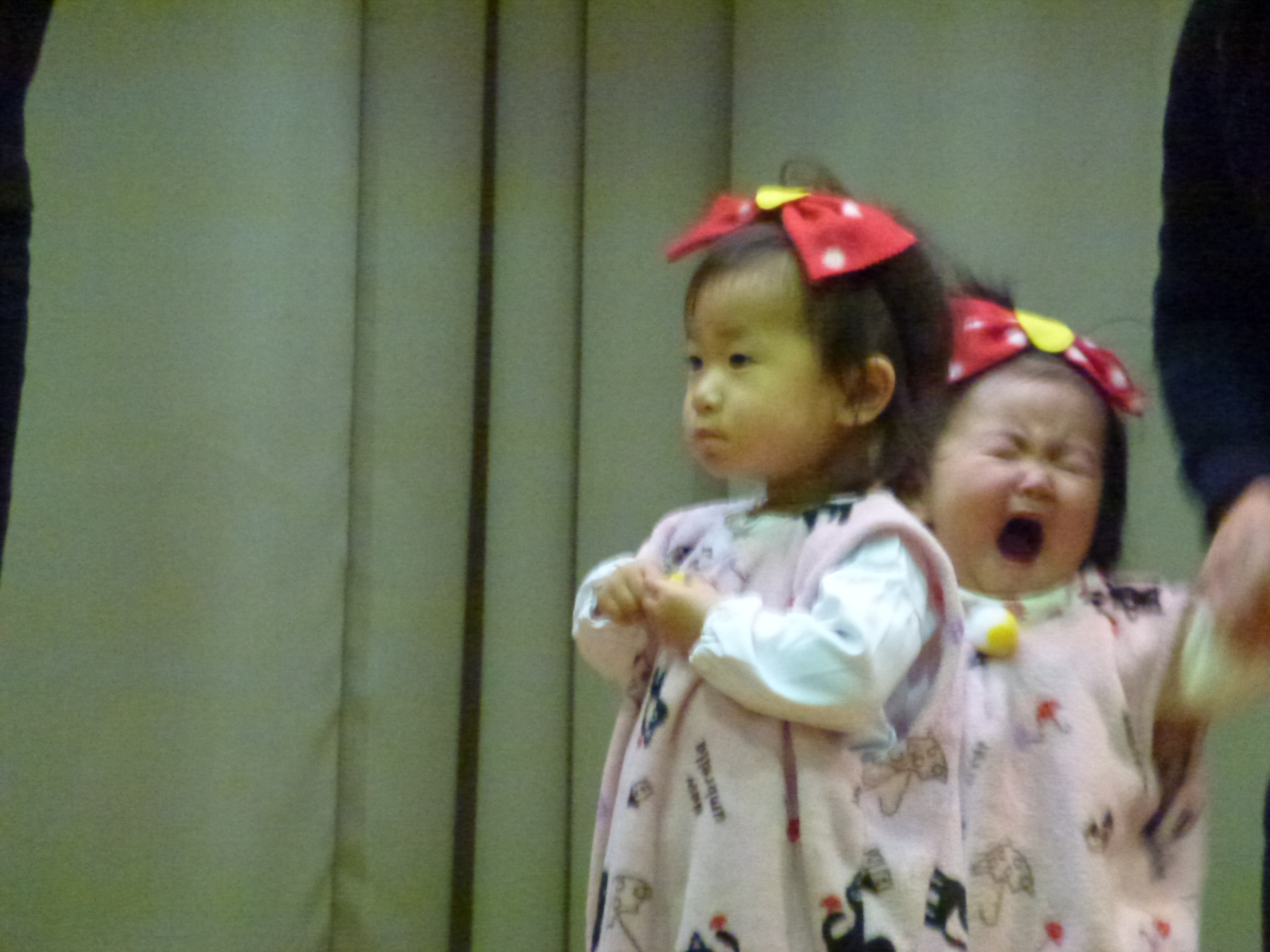 P1030238.JPG
