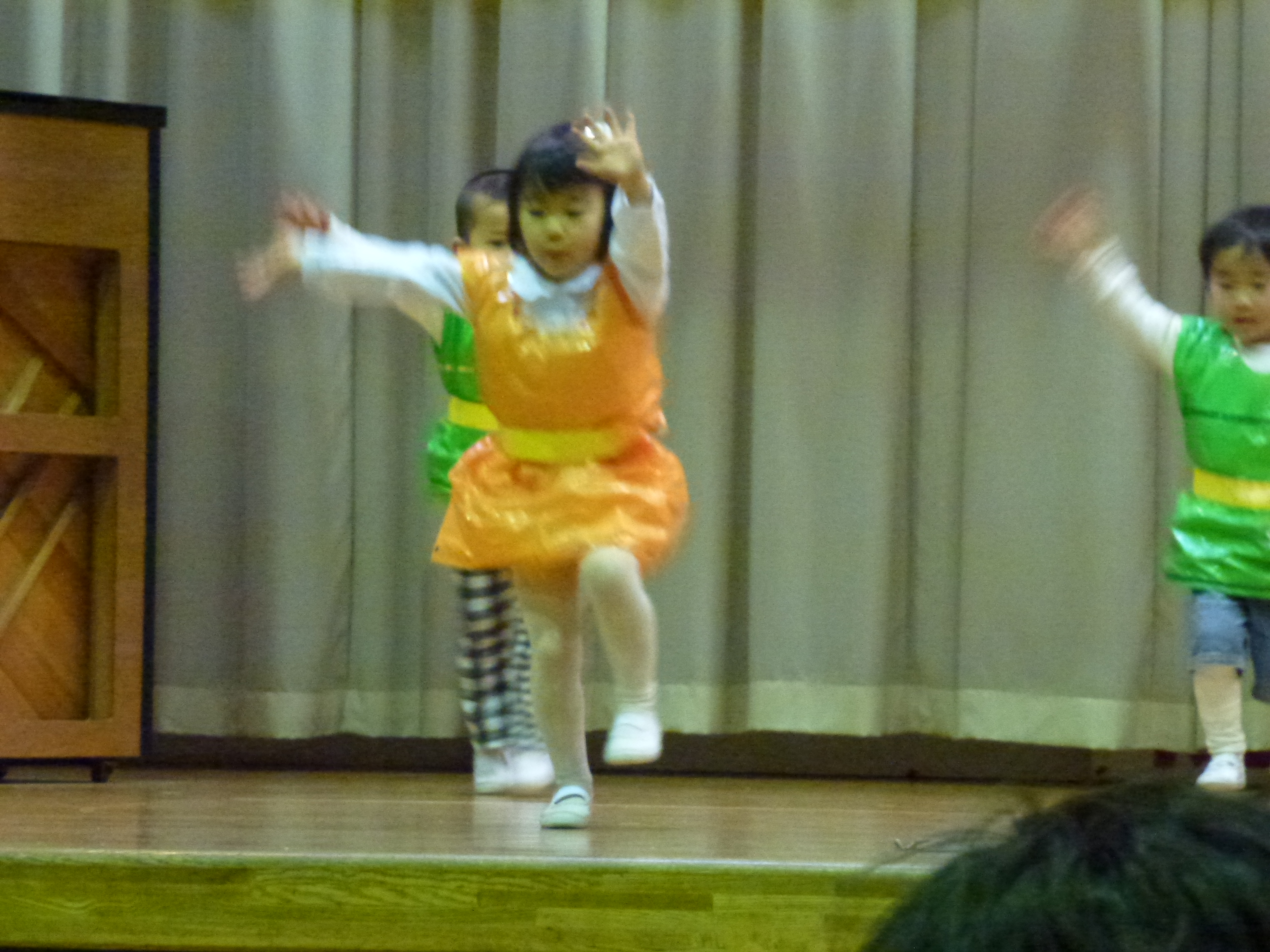 P1030469.JPG