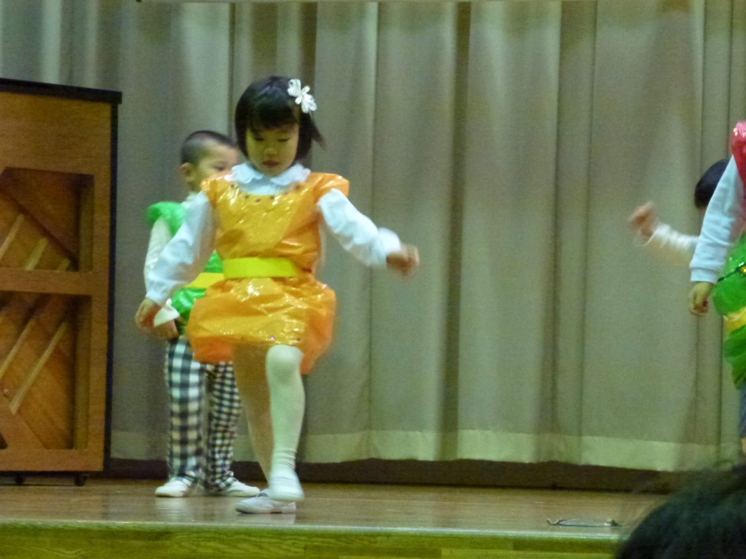 P1030506.JPG