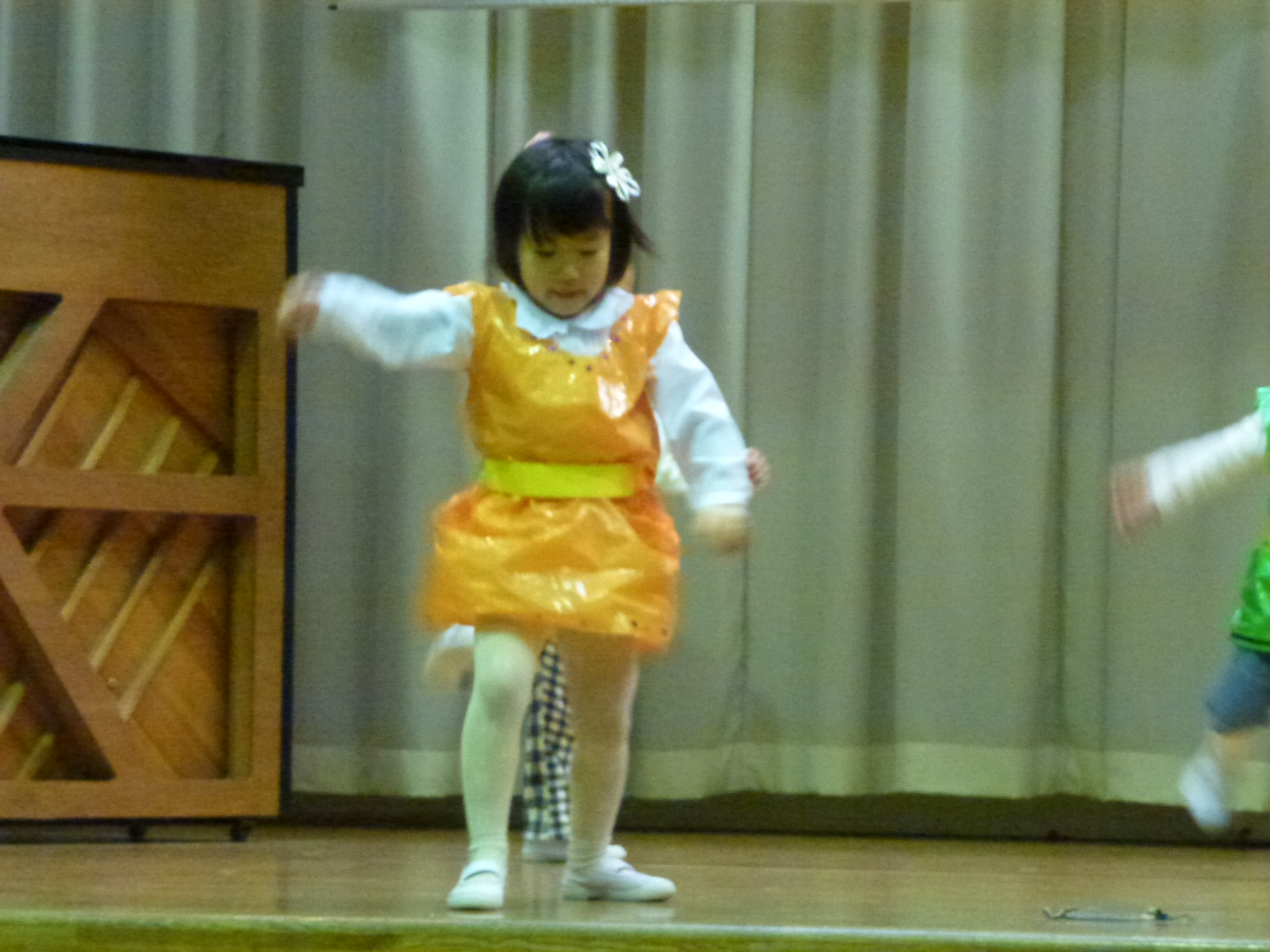 P1030528.JPG