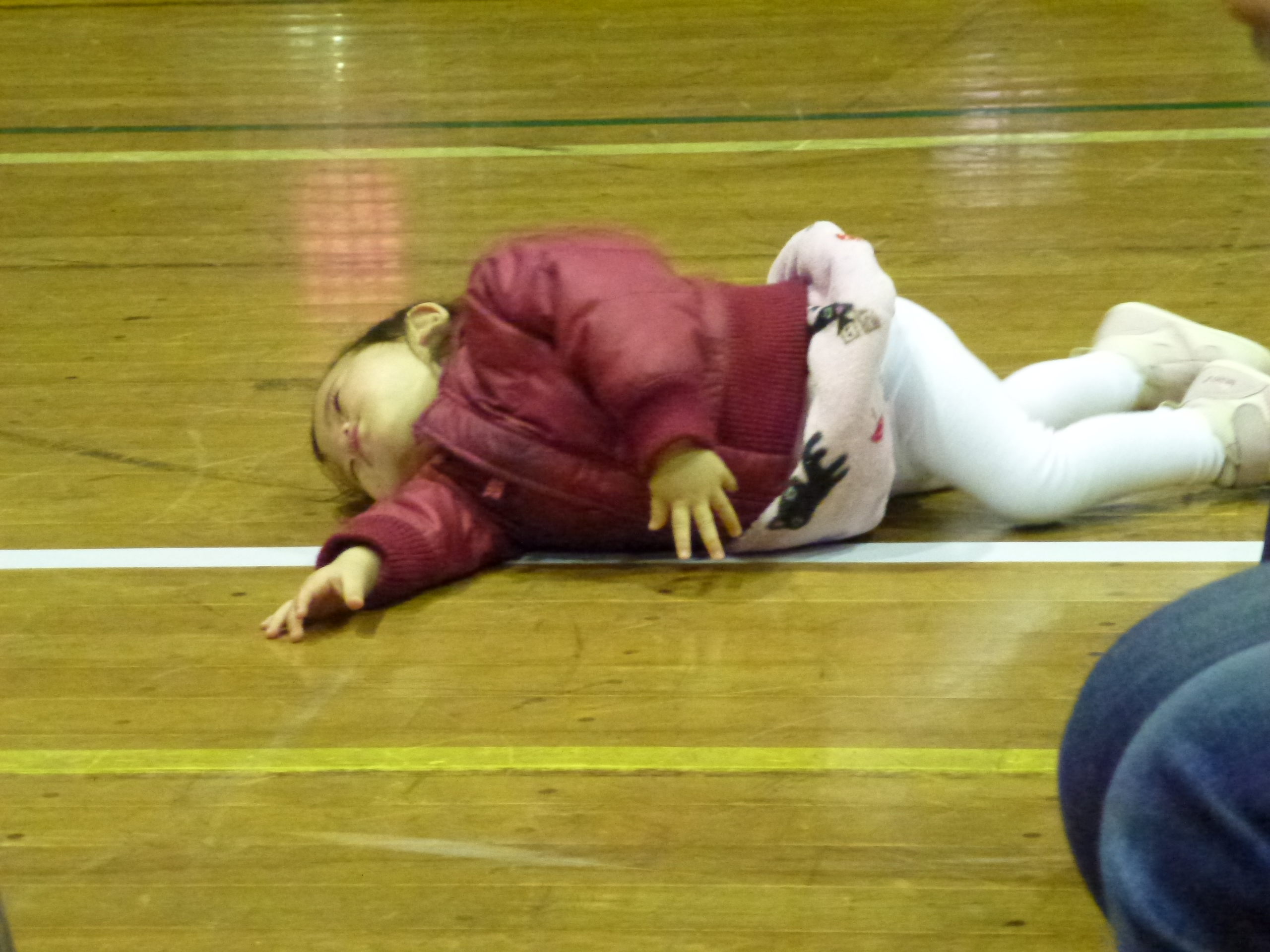 P1030558.JPG