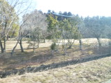 img0036.jpg