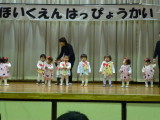 img0206.jpg