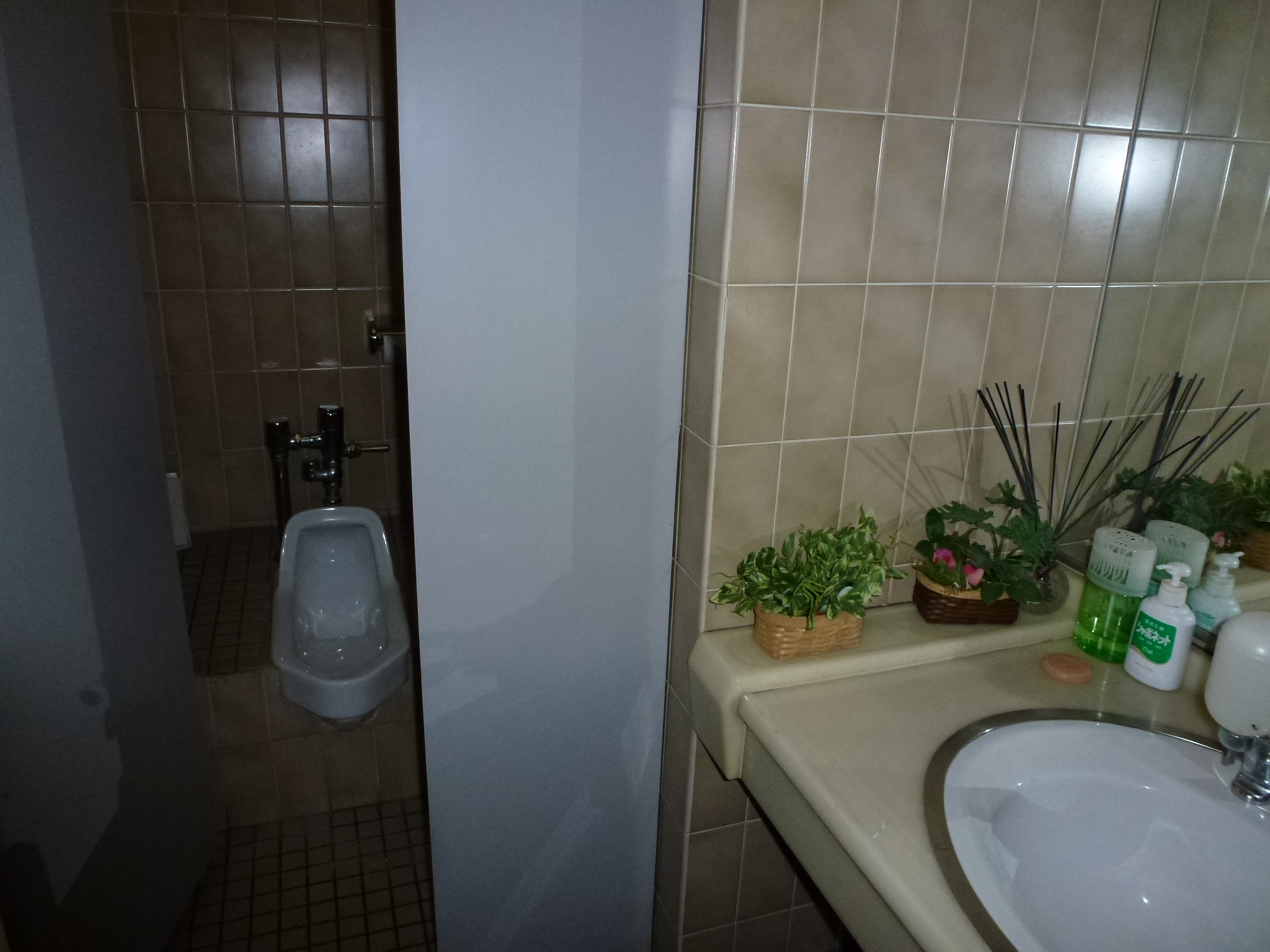 P1030616.JPG