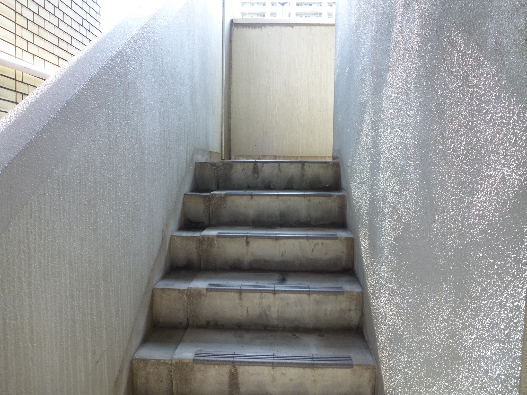 P1030620.JPG