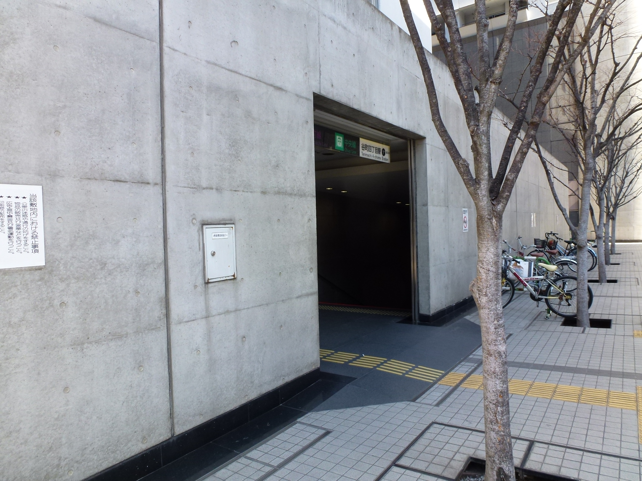 P1030632.JPG