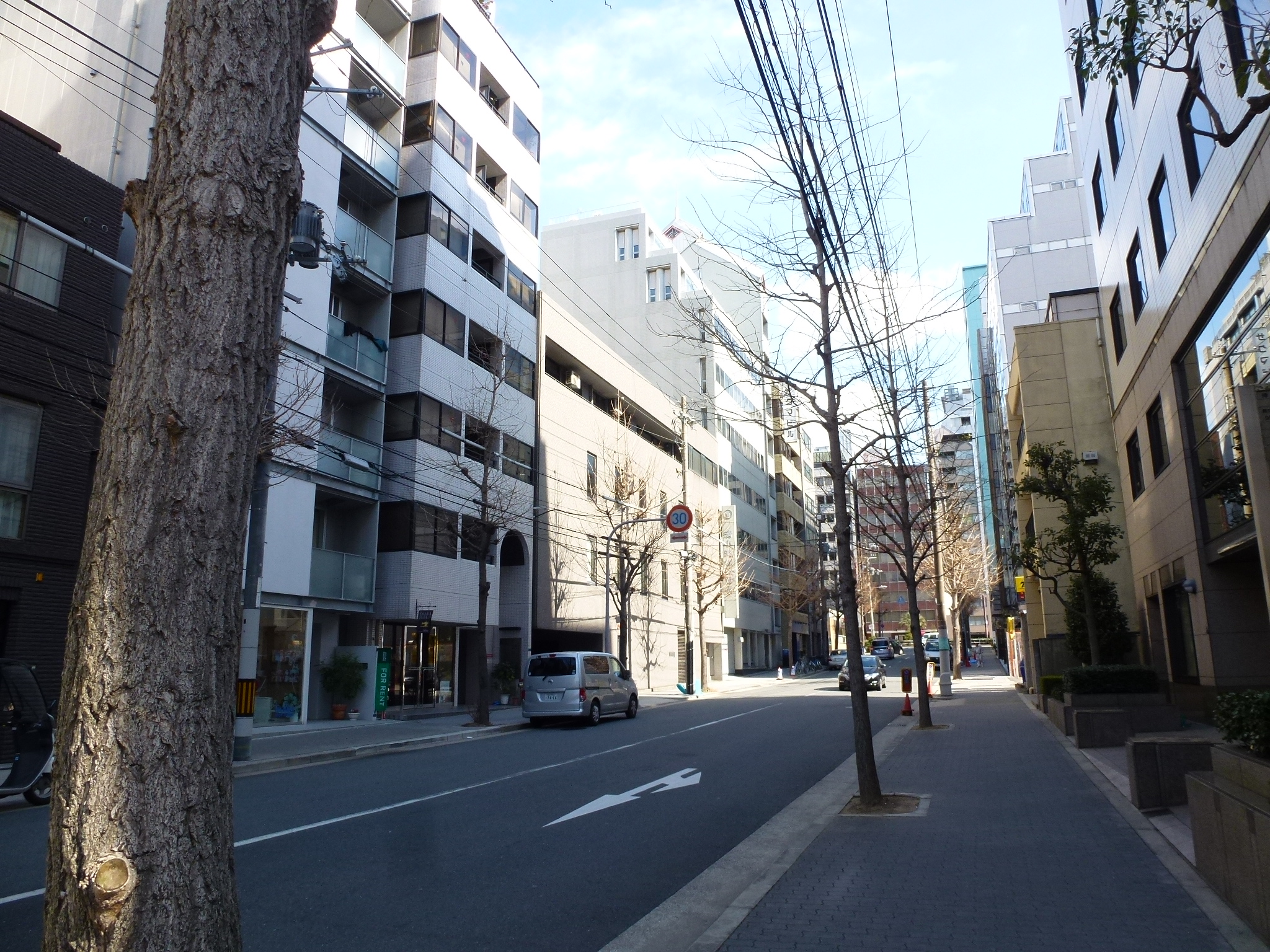 P1030638.JPG